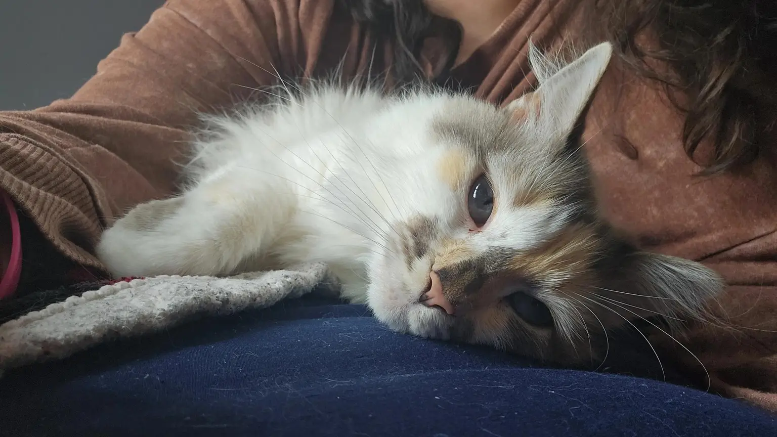 Olivia holding a kitten